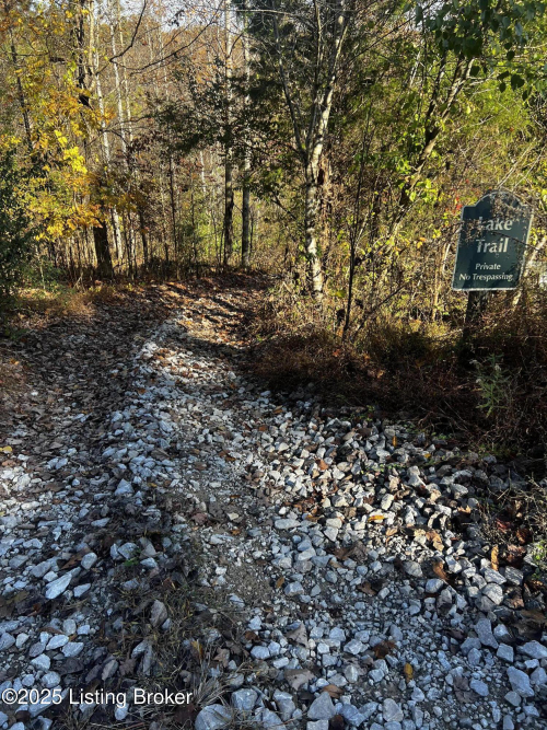 Listing Image 51