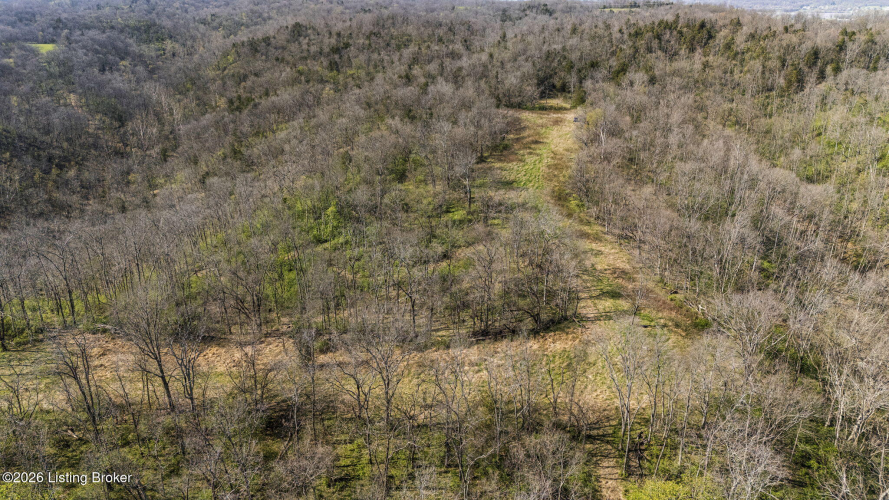 Listing Image 41