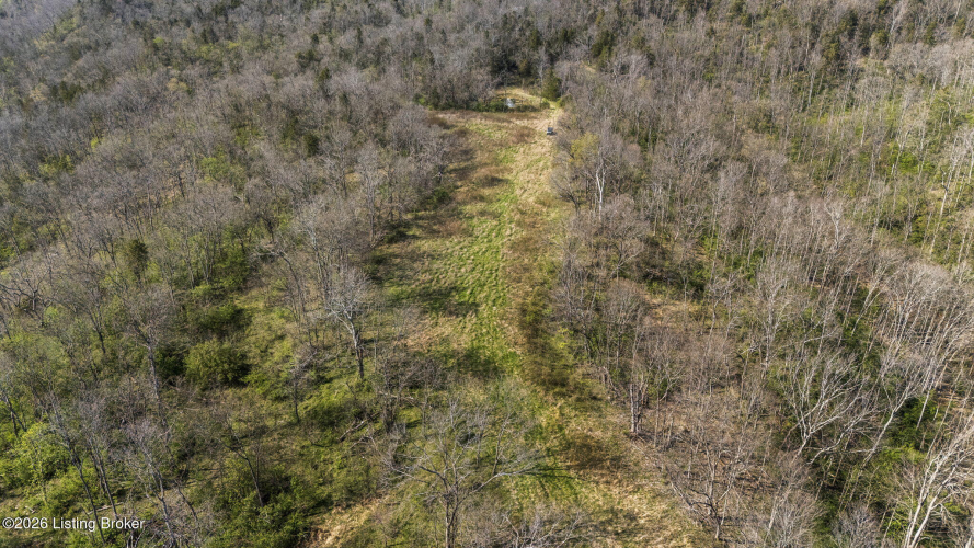 Listing Image 42