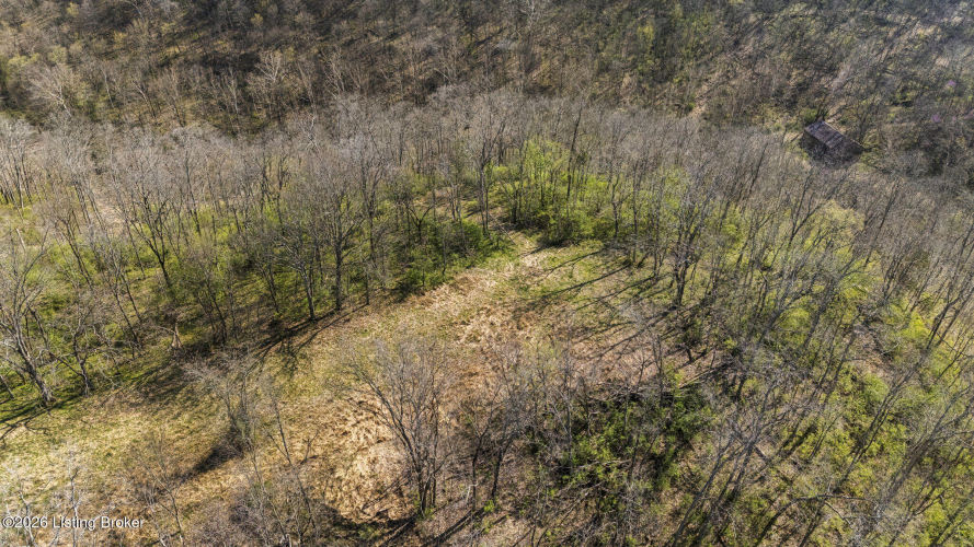 Listing Image 43