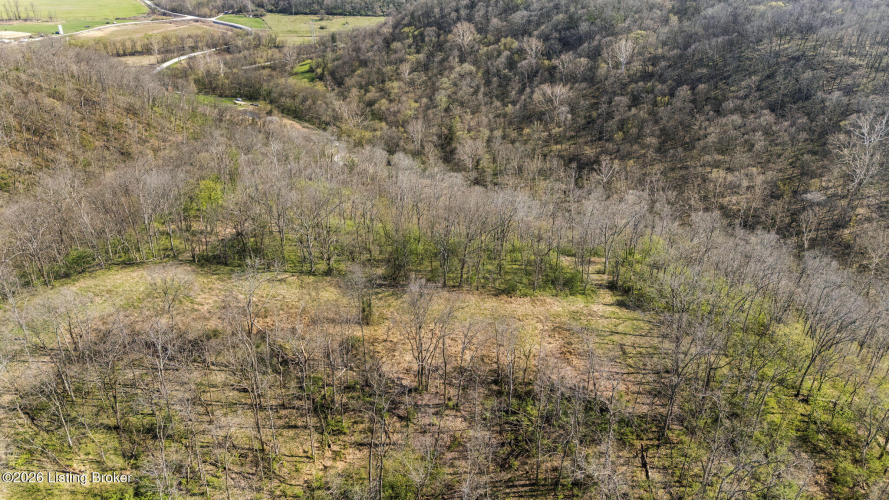Listing Image 46