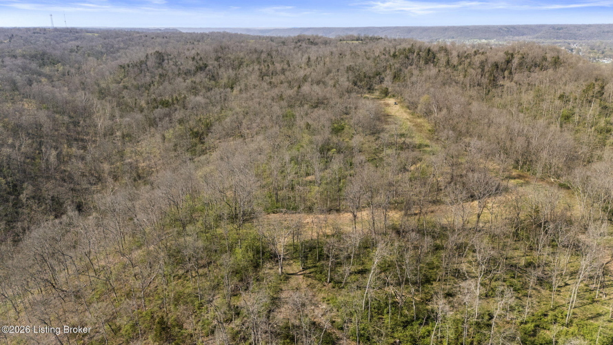 Listing Image 52