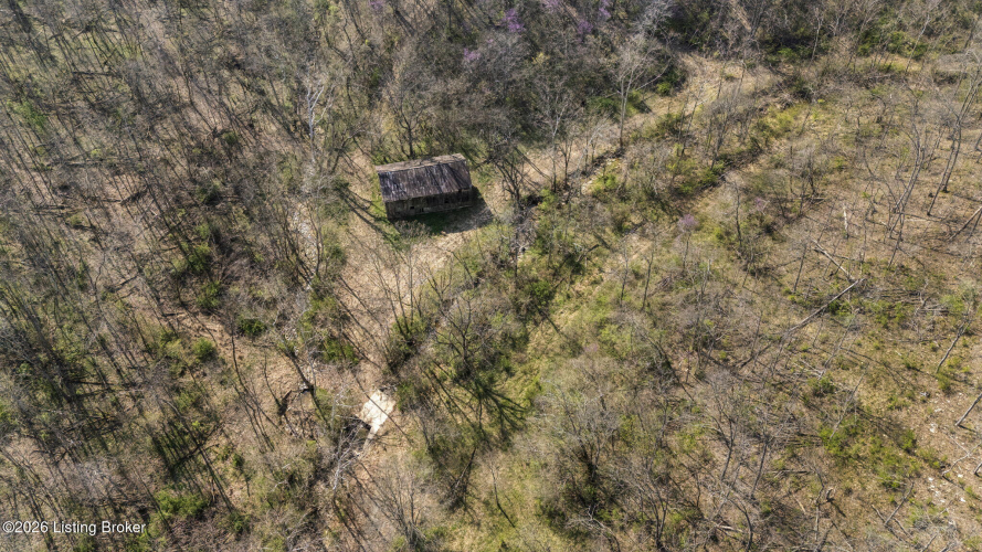 Listing Image 53