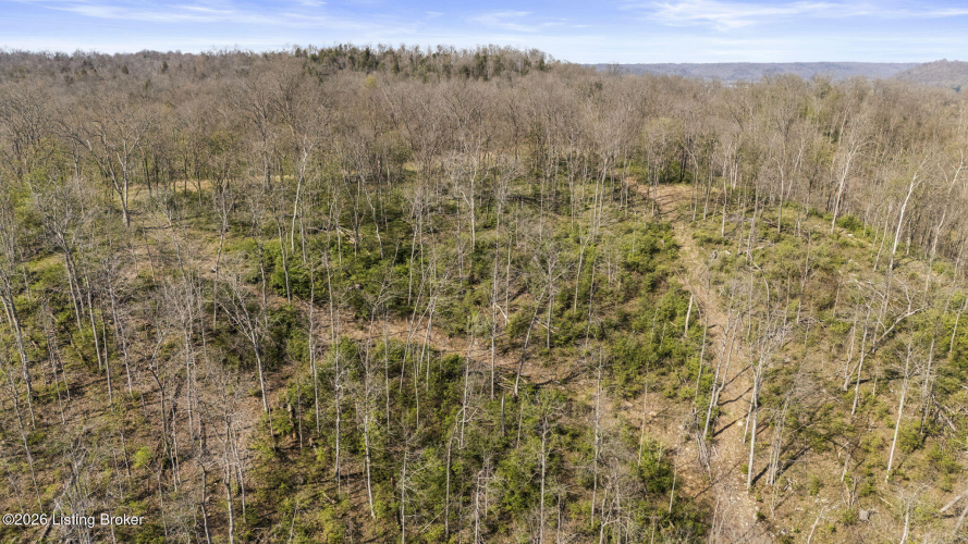 Listing Image 56