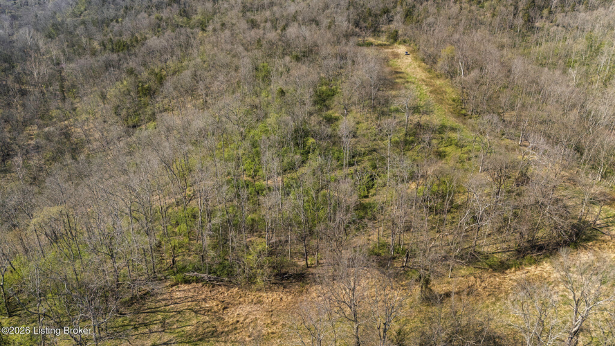 Listing Image 57