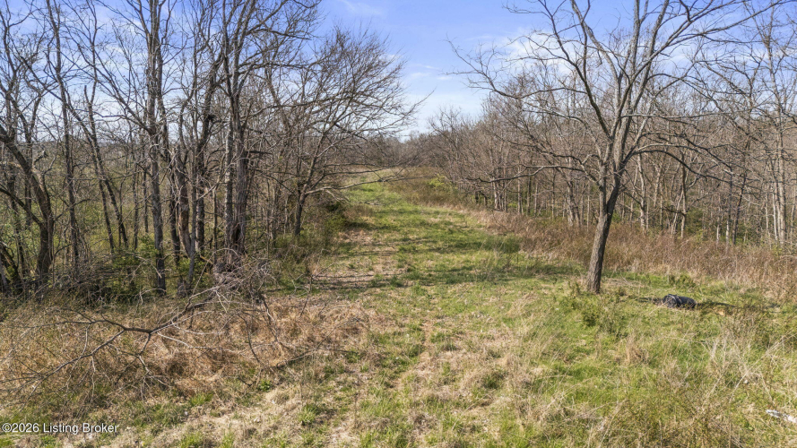 Listing Image 58
