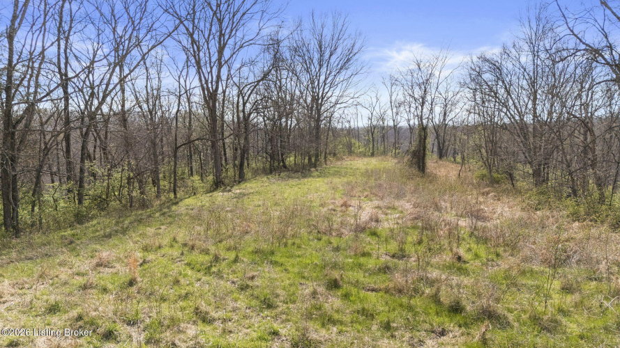Listing Image 59