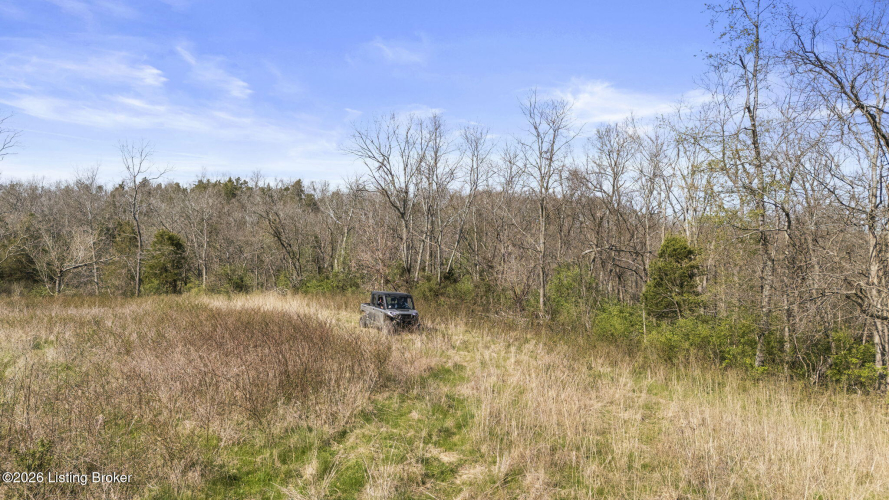 Listing Image 61