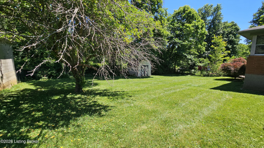Listing Image 63
