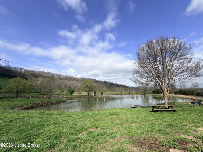 Listing Image 42