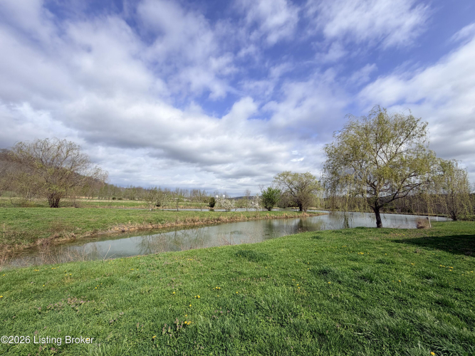 Listing Image 47