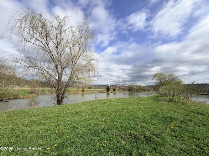 Listing Image 49