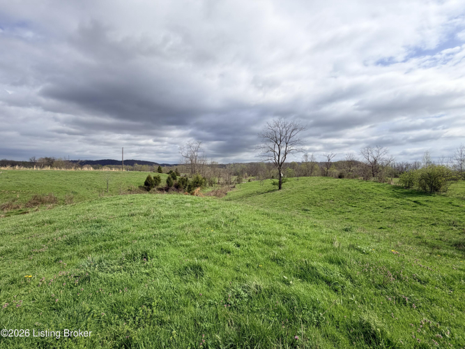 Listing Image 52