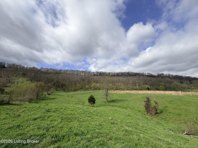 Listing Image 54
