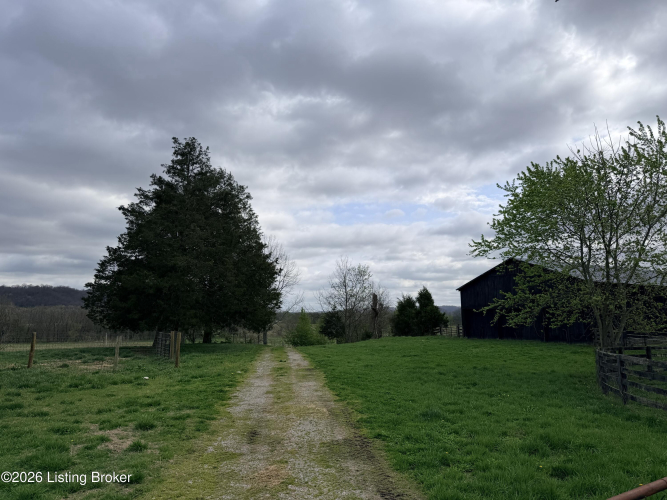 Listing Image 64