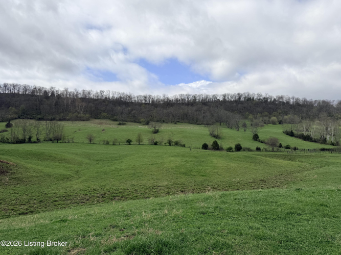 Listing Image 73