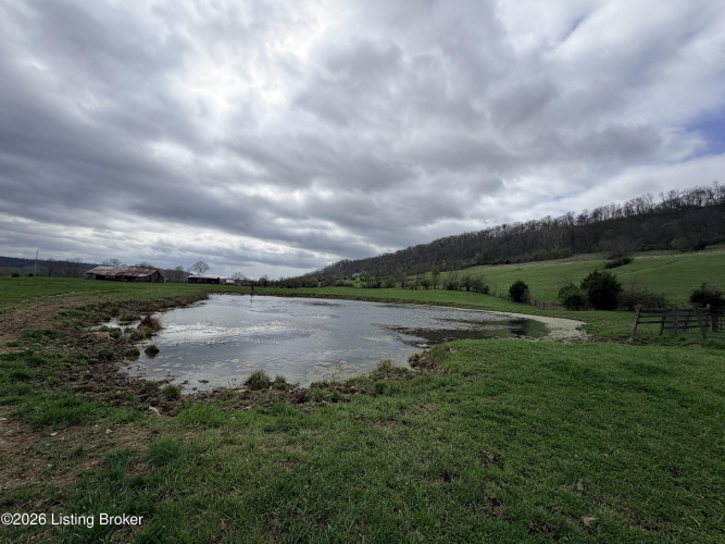 Listing Image 74