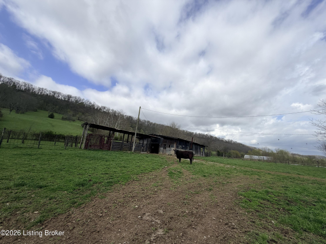 Listing Image 75