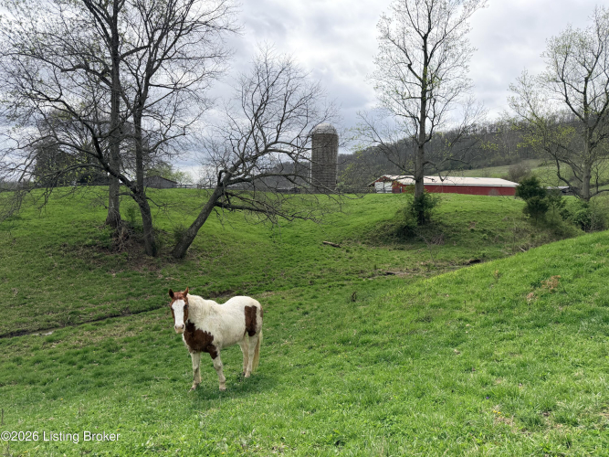 Listing Image 76