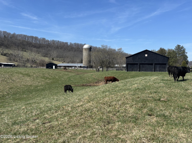 Listing Image 77
