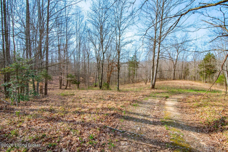 Listing Image 53