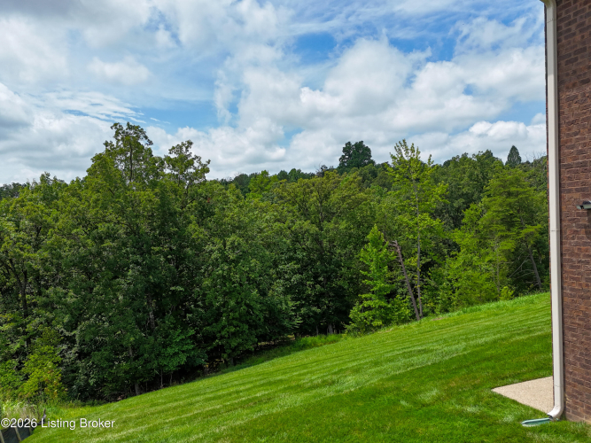 Listing Image 58