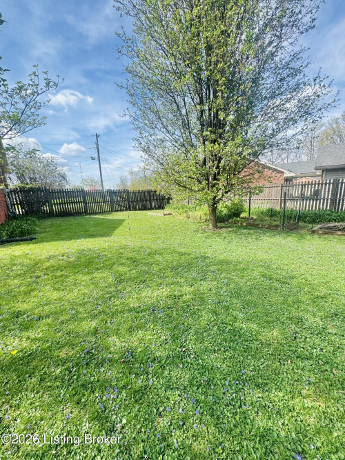 Listing Image 14