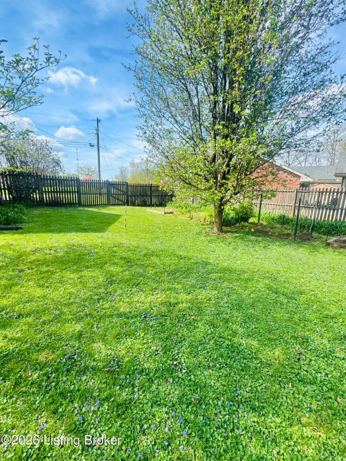 Listing Image 15