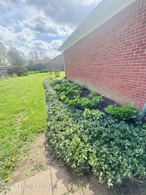 Listing Image 16