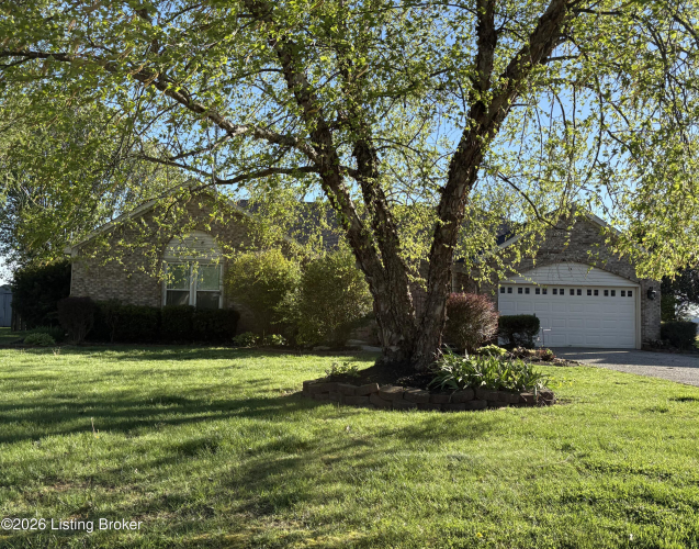 Listing Image 29