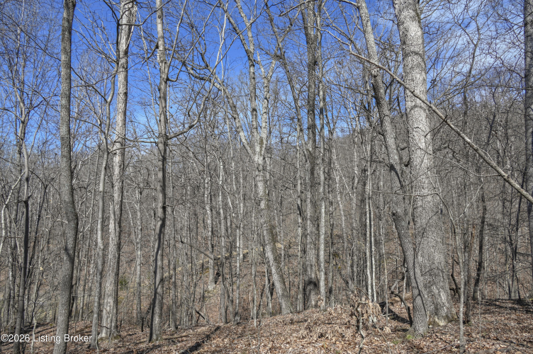 Listing Image 28