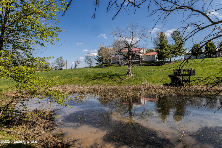 Listing Image 59