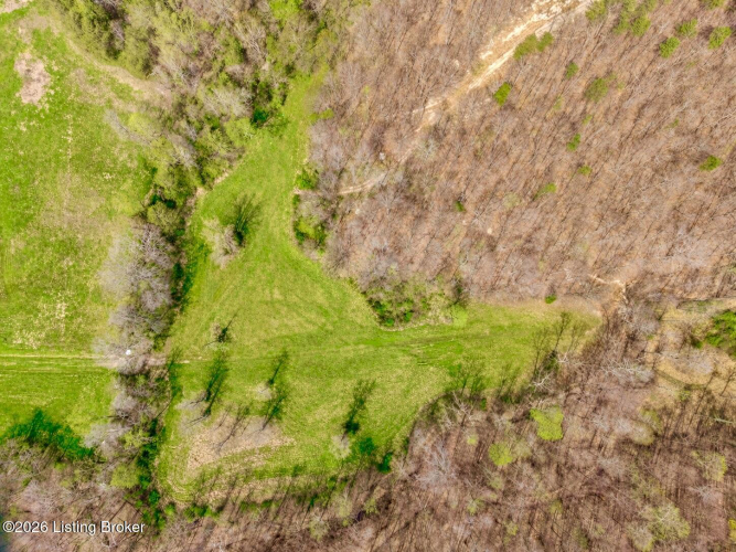 Listing Image 98