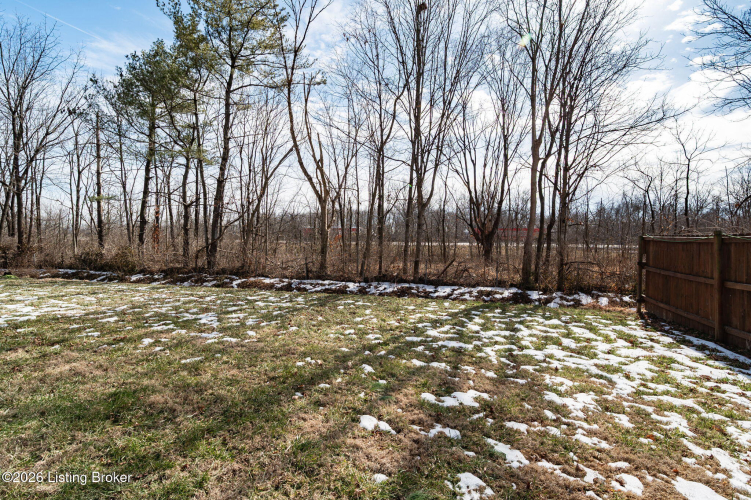 Listing Image 29