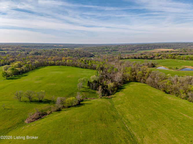 Listing Image 97
