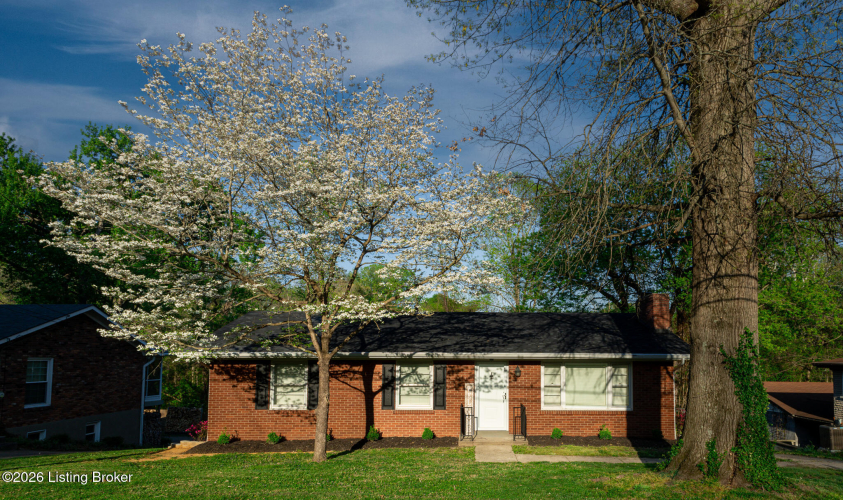 Listing Image 52