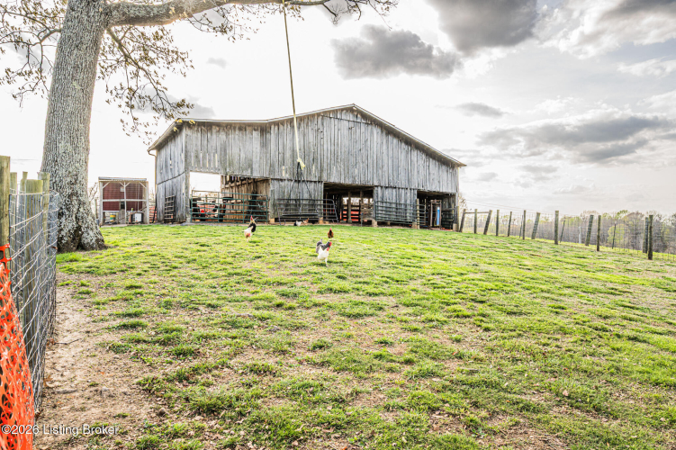 Listing Image 32