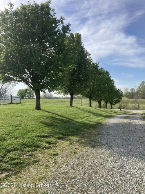 Listing Image 32