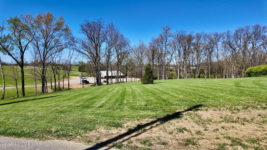 Listing Image 87