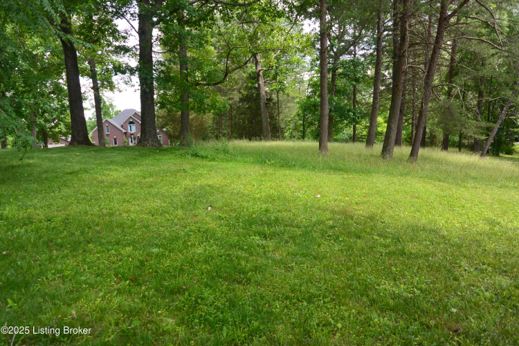Listing Image 44