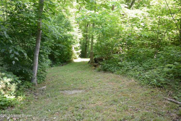 Listing Image 45