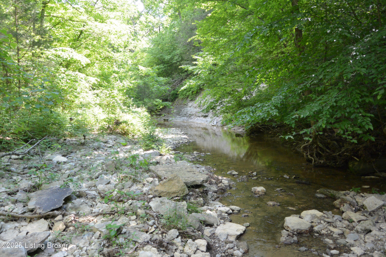 Listing Image 47