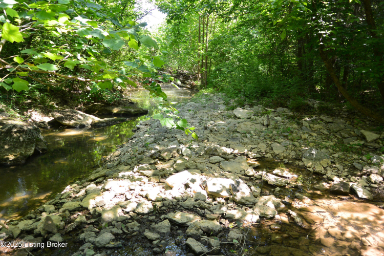Listing Image 48