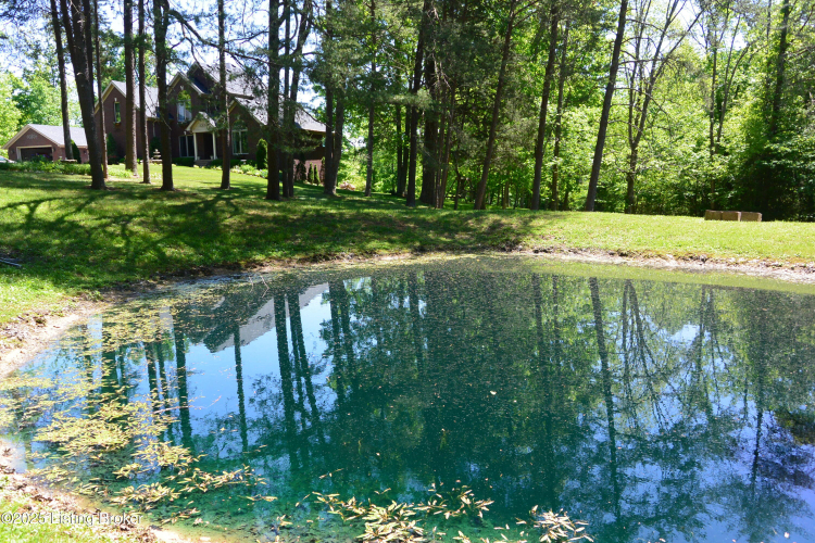 Listing Image 51