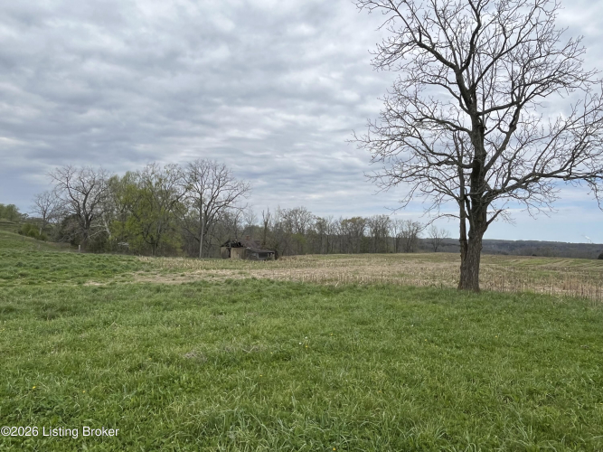 Listing Image 16