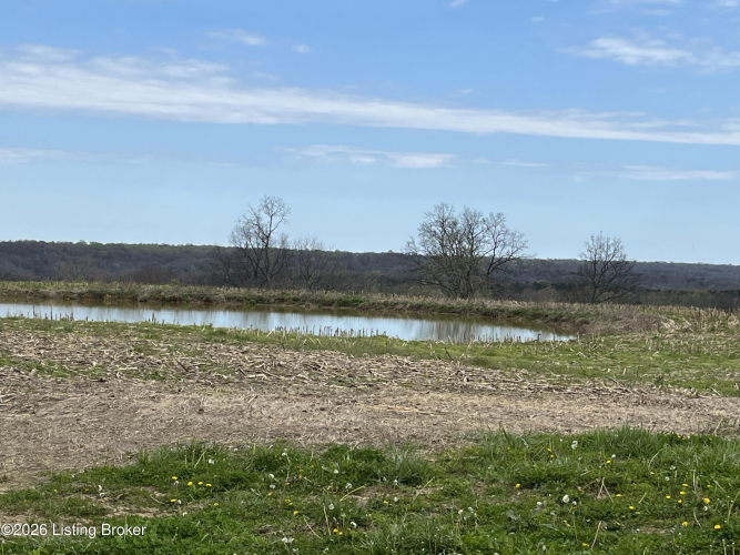 Listing Image 21