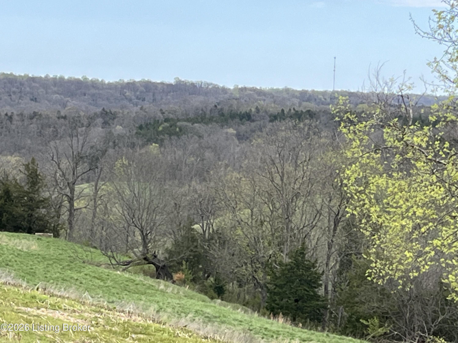 Listing Image 27