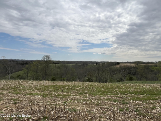 Listing Image 34