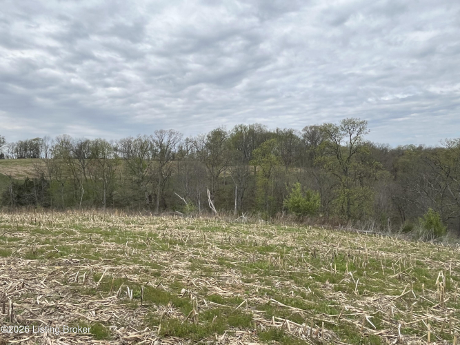 Listing Image 35