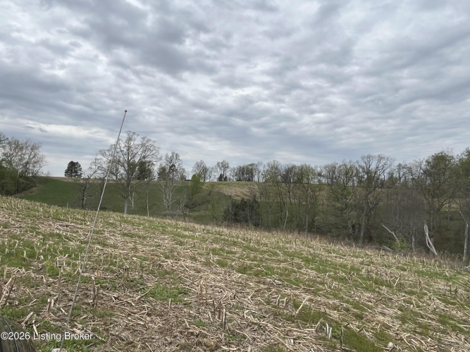 Listing Image 36